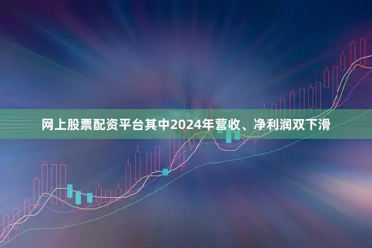 网上股票配资平台其中2024年营收、净利润双下滑