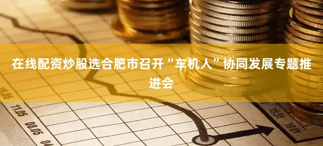 在线配资炒股选合肥市召开“车机人”协同发展专题推进会