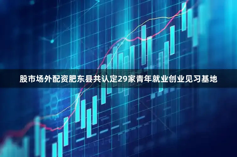 股市场外配资肥东县共认定29家青年就业创业见习基地