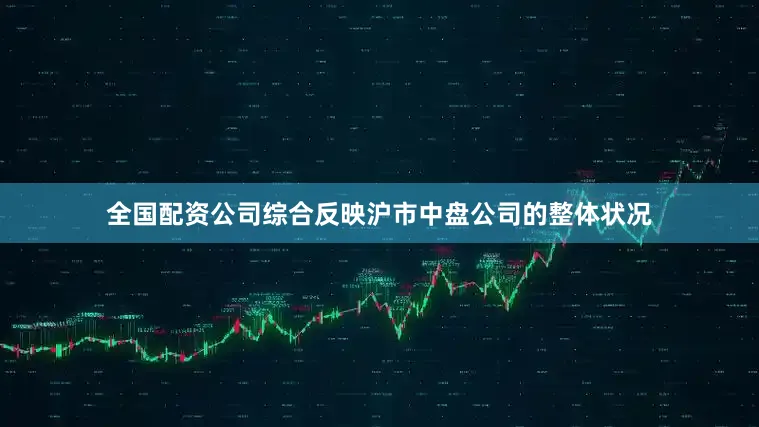 全国配资公司综合反映沪市中盘公司的整体状况